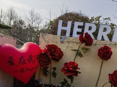 -HERRE·FARM 赫尔露营农场·团建聚会包场