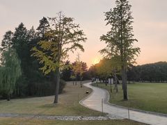 -东方绿舟景区