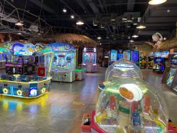 -卡通尼·Safari非洲探索乐园·生日会(金桥国际商业广场店)