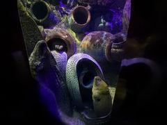 -太平洋海底世界