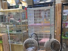 -藏猫猫咖啡主题馆(中央大道店)