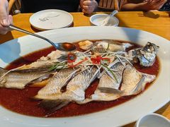 翘嘴鲌鱼-丹江渔村(望京店)