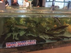 -七叔家宴家常广西菜(明秀东路店)