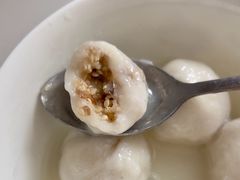 精品五仁元宵-功德林素菜饭庄(前门店)