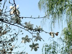 -木塔寺遗址生态公园