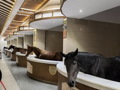 -中国马镇舞马世界主题乐园