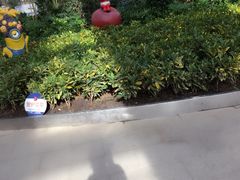 -南和农业嘉年华