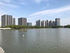 -南翔镇银翔湖公园