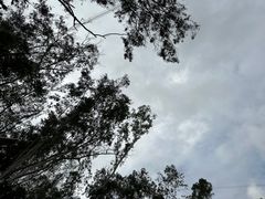 -马峦山郊野公园