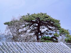 -潭柘寺景区
