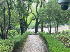 -汇龙潭
