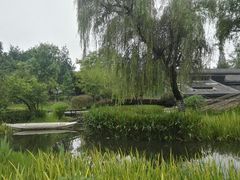 -成飞公园