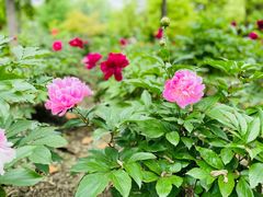 -江南大学(蠡湖校区)