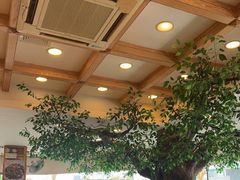 -今一靓汤.顺德菜东莞三十年老字号(厚街店)