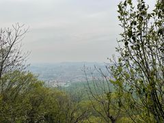 -紫金山山顶公园