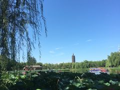 -西海子公园