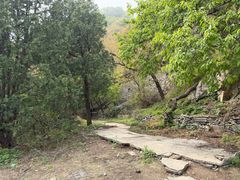 -大觉寺-停车场