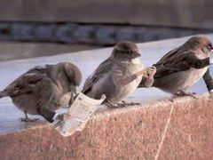 -璐坊粽王(复兴中路店)