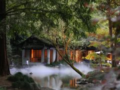 -杭州植物园