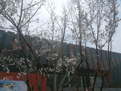 -南京航空航天大学(将军路校区)