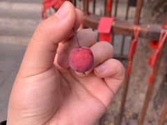 -卫鼎轩·曹公馆(鼓楼店)