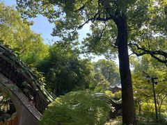 -申粤轩酒楼·三十年粤菜经典(丁香花园店)