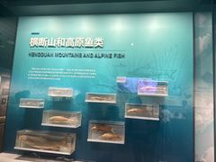 -四川大学博物馆