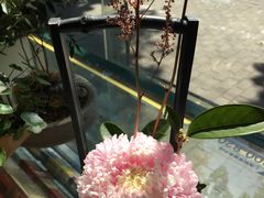 -FEI FEI FLOWER鲜花店·气球派对·宝宝宴布置(虹口德必运动Loft店)