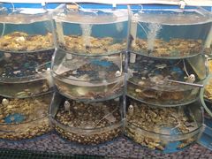 -仙螺岛海鲜自助餐厅(总店)