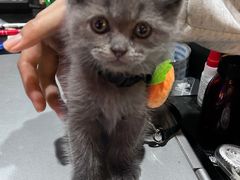 -解个谜沉浸剧情密室(天河店)