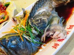 清蒸石斑鱼-阿浪海鲜连锁加工店(B栋2排1号火车头店)