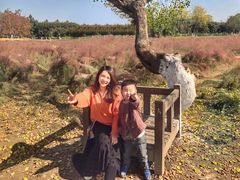 -艾溪湖湿地公园