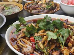 -小杨翘脚牛肉
