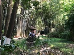 -望江楼公园