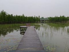 -白鹭湾湿地公园