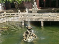 -上海醉白池公园