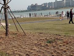 -九龙湖公园