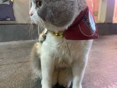 -龍歌自助小火锅(秦淮水游城店)