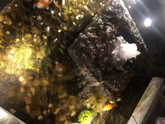 -功德林(南京西路店)