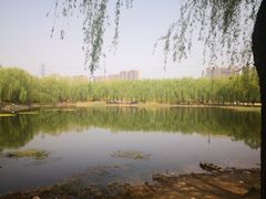 -东坝千亩湖公园