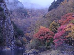 -叠溪松坪沟景区