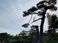 -罗红摄影艺术馆