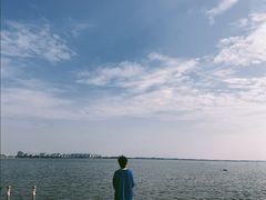 -瑶湖郊野森林公园