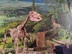 -陕西自然博物馆