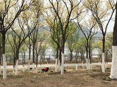 -永定河休闲森林公园