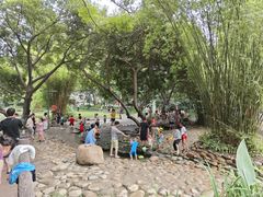 -成都市活水公园