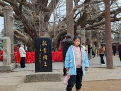 -浮来山风景区