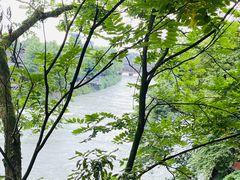 -都江堰景区