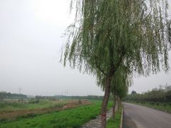 -洨河生态公园
