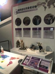 -北京科学中心儿童乐园